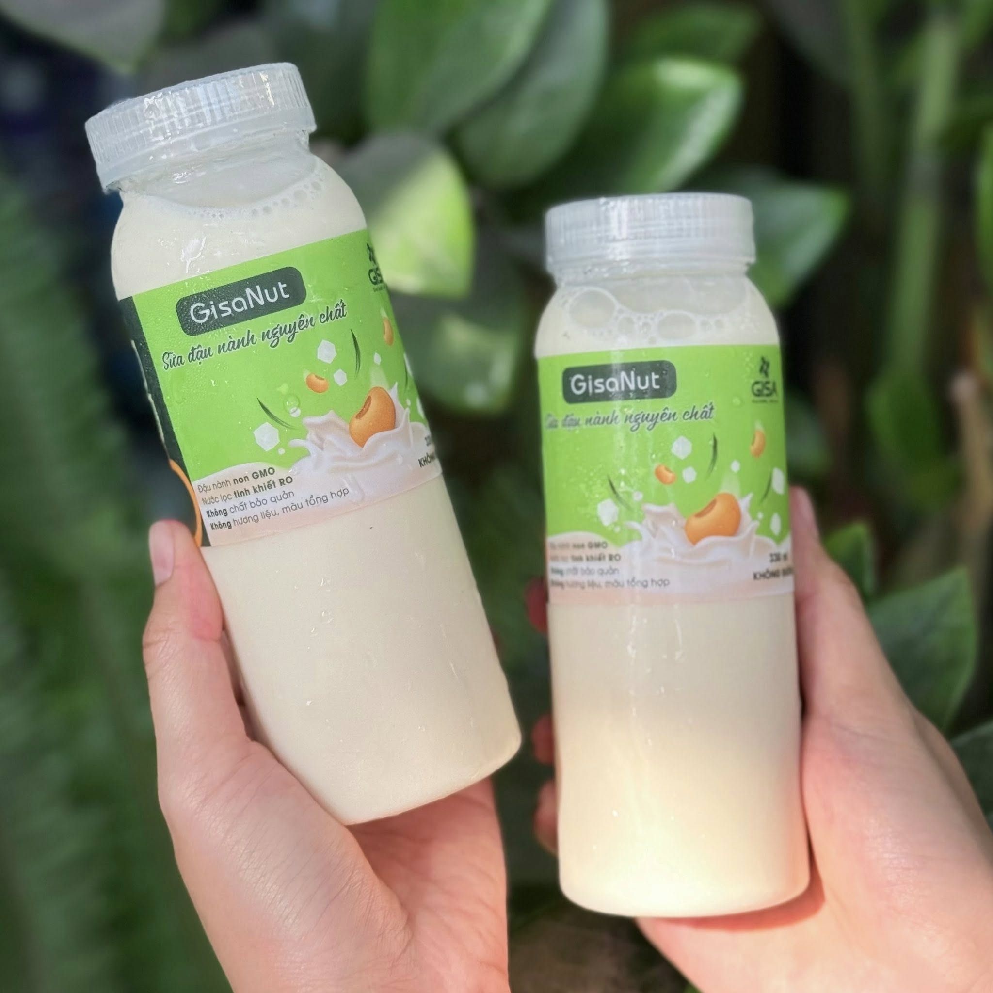 Sữa Đậu Nành GISANUT